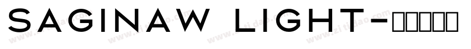 Saginaw Light字体转换